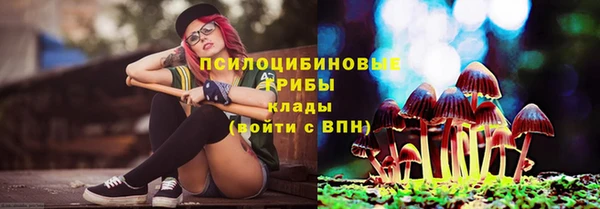 mix Арсеньев
